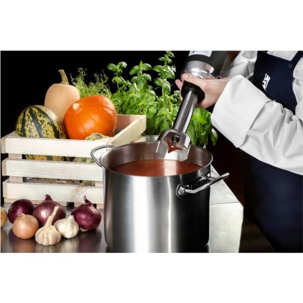 Spēcīga maisītāja blendera rokas robota rokas garums 250 mm 350w 230v karaliskā ēdināšana