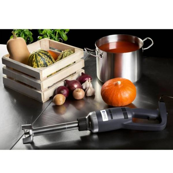 Jaudīgs mikseris/blenderis rokas robots, garums 300 mm, 350 W, 230 V, Royal Catering