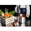 Jaudīgs mikseris/blenderis rokas robots, garums 300 mm, 350 W, 230 V, Royal Catering