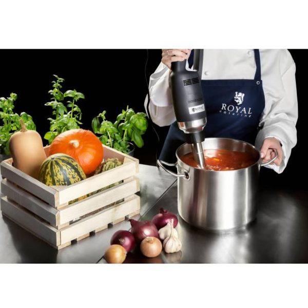 Jaudīgs mikseris/blenderis rokas robots, garums 300 mm, 350 W, 230 V, Royal Catering