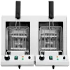 Divkāršās ķembris Double Fryer 2 x 11 l 6000 W
