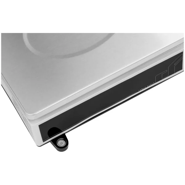 Paczkowa LCD pasta svars 21 x 27 cm 30 kg / 1 g