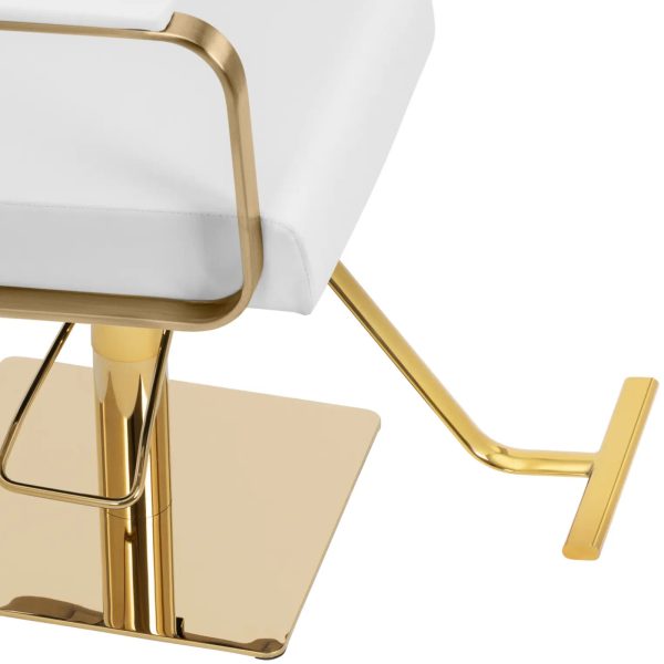 Bārddziņu frizieri ar krēslu ar Physa Otley Footress - balts un zeltains