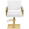 Bārddziņu frizieri ar krēslu ar Physa Otley Footress - balts un zeltains
