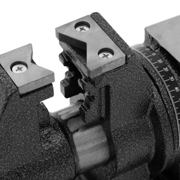 Darbnīcas galda vice ar čuguna atstarpi 100 mm platums 100 mm