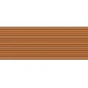 Pašpārvalde, kas nav slīdēšanas grīdas paklājs 240 x 90 cm peldbaseina laiva -brūna