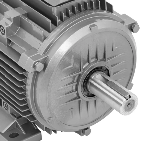 Trīsfāzes asinhronais elektromotors 2950 RPM 230/400 V 5.5 KW