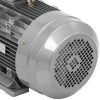 Trīsfāzes asinhronais elektromotors 2950 RPM 230/400 V 5.5 KW