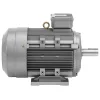 Trīsfāzes asinhronais elektromotors 2950 RPM 230/400 V 5.5 KW