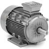 Trīsfāzes asinhronais elektromotors 2950 RPM 230/400 V 5.5 KW