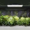 Augu augšanas lampa Pilns spektrs 30 x 24 cm 234 LED 110 sudrabā