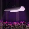 Augu audzēšanas lampa Pilns spektrs 25 x 12 cm 136 LED 50 sudrabā