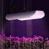 Augu audzēšanas lampa Pilns spektrs 25 x 17 cm 136 LED 100 sudrabā