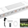 Augu augšanas lampa 120 gaismas diodes LED 50 cm 20 4 gab. Sudrabs