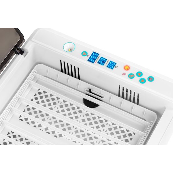 Inkubators Hatchinger Klujnik līdz 36 vistas olām 60 W + ovoskops