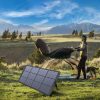 SONE SOLAR SOLAR gleznotājs
