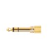 Adaptera adapteris ar 3,5 mm mini domkratu līdz 6,3 mm Jack Golden