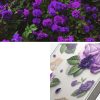 Bruņu korpusa vāks ar gēla rāmi iPhone 14 Plus Fusion Design Purple caurspīdīga roze