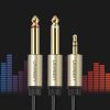 Kabeļa audio kabeļa mini ligzda 3,5 mm - 2 x ligzda 6,35 mm 2m pelēks