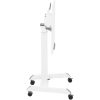 Tabulas klēpjdatoru statīvs ir noregulējams uz riteņiem 60 x 52 cm 825 - 1185 mm