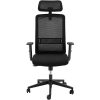 Ergonomisks biroja krēsls ar sieta atzveltni, galvas balstu un pakaramo, augstums 40-50 cm