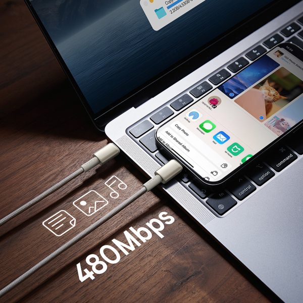 Volframa zelta USB -C kabeļa kabelis - USB -C 100W 1M - zelts