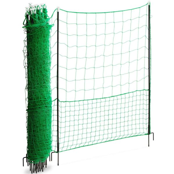 25 x 50 m