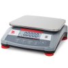 1g - Ohaus R31p3