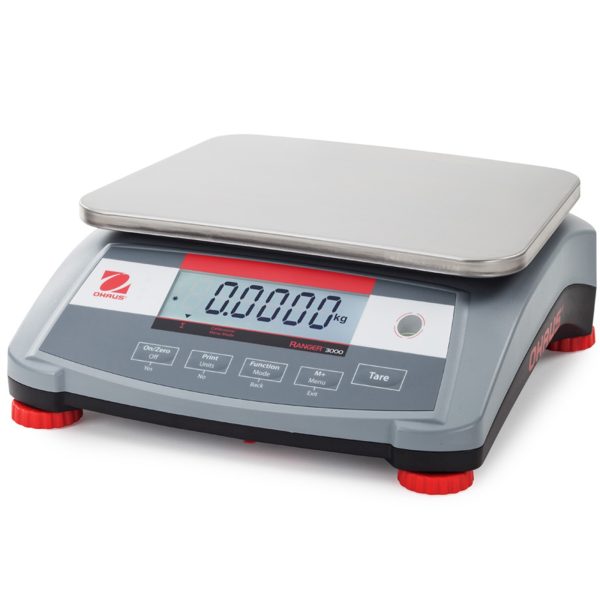 1g - Ohaus R31p3