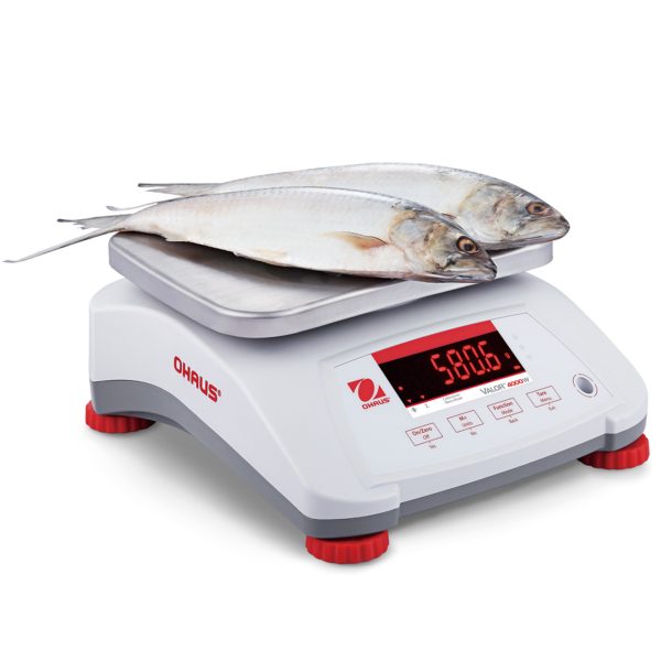5 g - OHAUS V41PWE1501T -M
