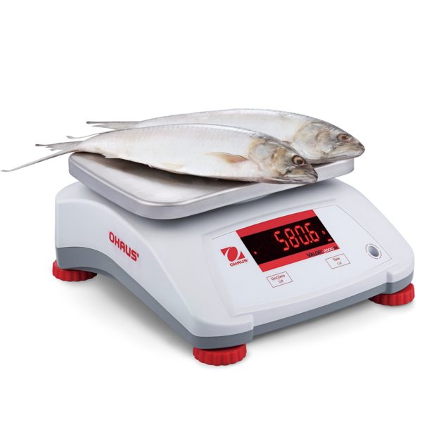 Ūdensnecaurlaidīgs pārbaudes svars IP68 Valor 2000 30kg / 5kg - Ohaus V22PWE30T