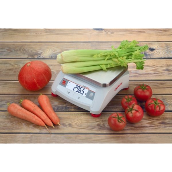 Valor 1000 15kg / 2G elektroniskās vadības tabulas skala - Ohaus V12p15