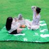 Piknika paklājiņš, ūdensnecaurlaidīgs kempinga sega 2 x 2 m - zaļš