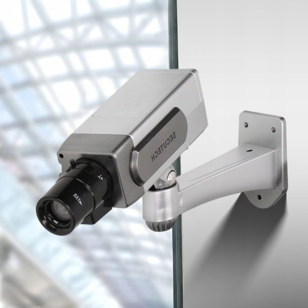 Viltus novērošanas kamera ar mirgojošu LED