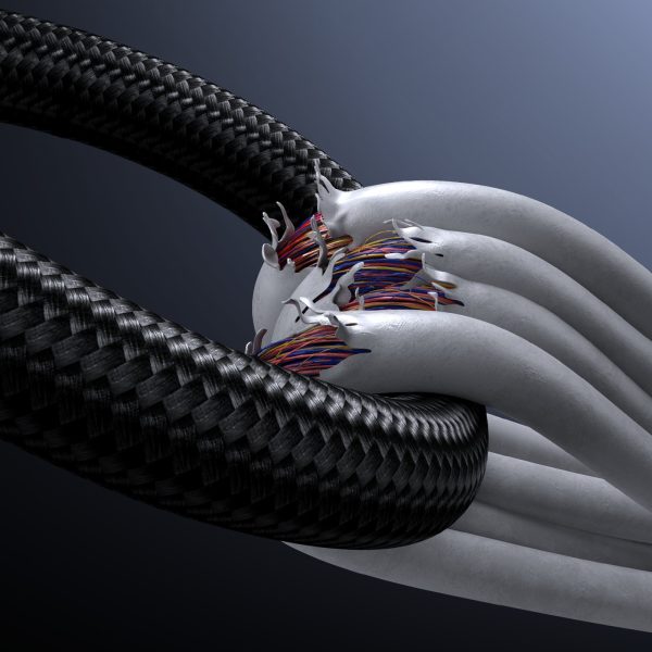 USB-C 100W 1,2m displeja kabelis - melns