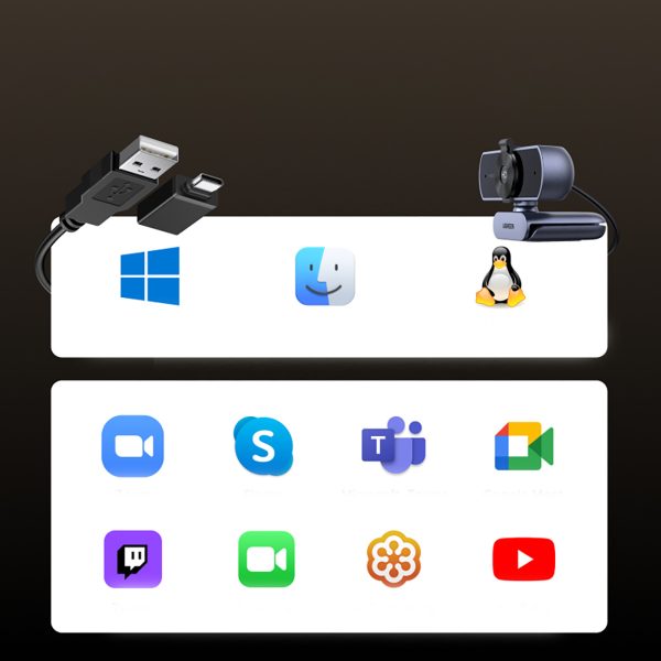 Tīmekļa kamera videokonferencēm ar 2 USB mikrofoniem 4K Ultra HD - pelēka