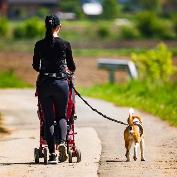 Gurnu josta skriešanai ar suni ar somu un elastīgu pavadu - melna