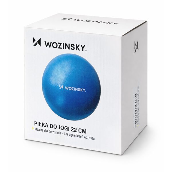 Vingrošanas bumba rehabilitācijas vingrinājumiem 22 cm - zila