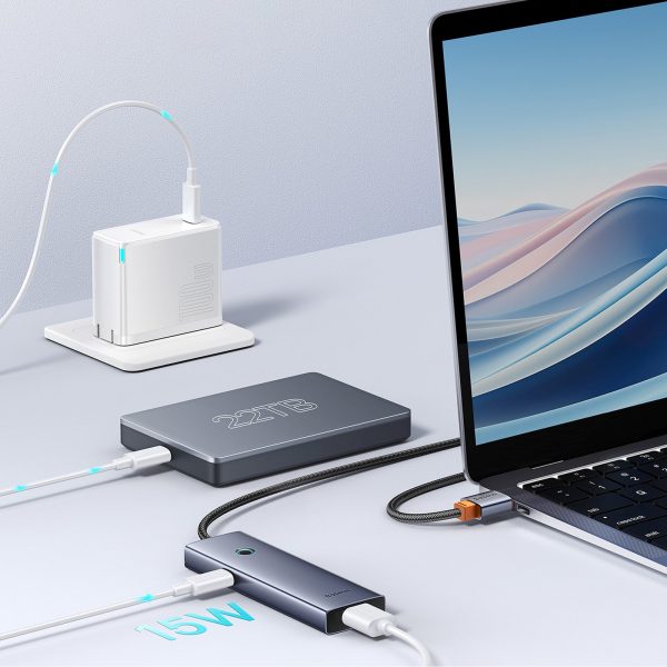 Sadalītājs USB-A USB-C 5V 50cm - pelēks